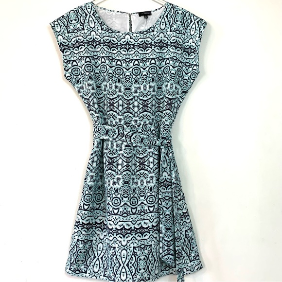 The Limited Lined Spring Summer Sheath Dress - Picture 12 of 12